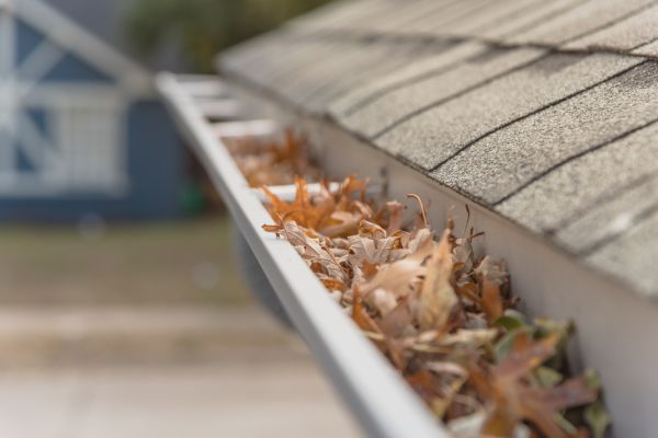 Leaf Barrier Installation in Mechanicsburg